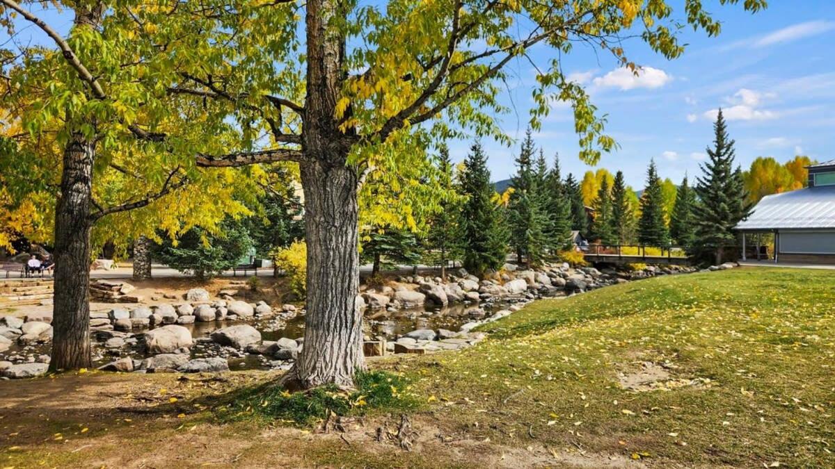 Cozy Studio With Shared Pool -3 Min To Ski Lift Breckenridge Εξωτερικό φωτογραφία